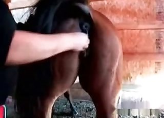 Watch me exploring this animal big ass