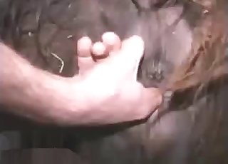 Watch him fingering that tight animal hole