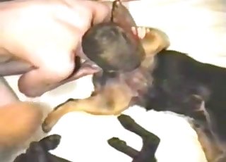 Crazy and nasty amateur bestiality sex action