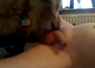 Tenhle chlápek dostane felaci od nadrženého pejska