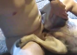 Белый ретривер получает анус от возбужденного мужчины