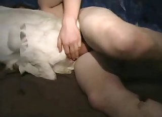 Awesome sex action with my lovely goat