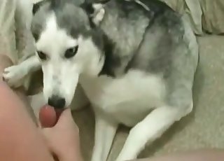 Spectacular homemade zoofilic porn content