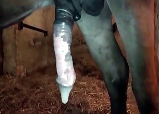 Tiny pony really enjoys this filthy bestial fun