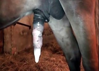 Tiny pony really enjoys this filthy bestial fun