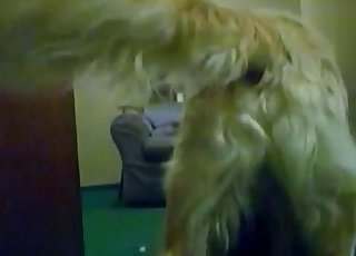 Awesome sexual action for a really large dog