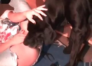 Incredible banging fun for a filthy Doberman