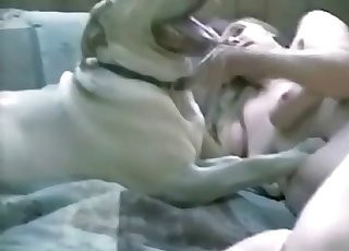 Animal with a large cock getting fucked really hard