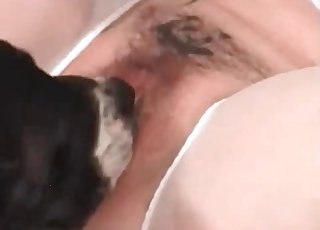 This slut wears pantyhose and gets orally serviced by a pup