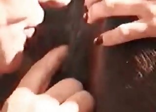 The tight pussy of a sexy horse getting fingered