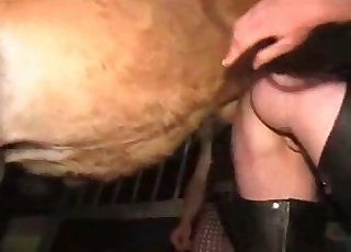 MILF i skinnbukser og et kåt dyr har god sex