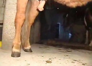 Nahkahousuissa oleva MILF ja kiimainen eläin harrastavat hyvää seksiä