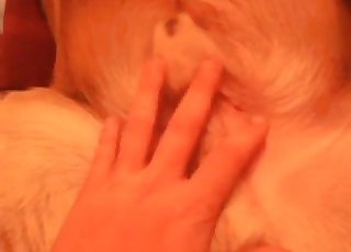 Awesome amateur animal porn sex action with a hot doggy