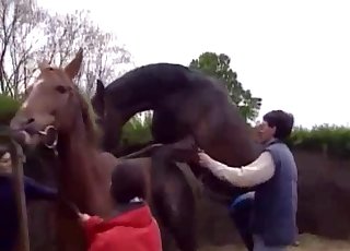 Animals and zoophiles have impressive sex action