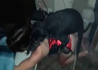 Sweet young hottie in bestiality XXX