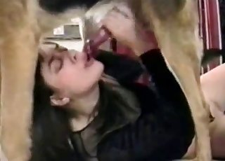 강아지가 엉성한 BJ를 하는 아마추어 수간극