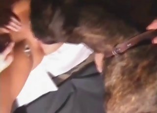 The tight asshole is stretched out by the large dick of a puppy