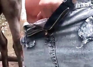 Animal has filthy bestiality with a horny woman