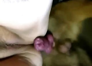 Sweet tight cunt hard fucked by a nasty animal