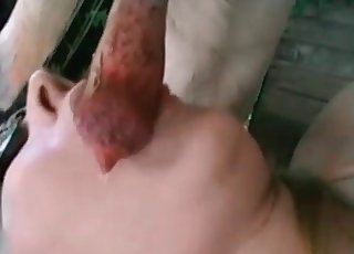 The cock of this hound gets sucked off by a total slut