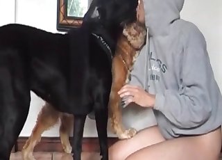 Le chien baise la chatte bien mouillée d'une stupide salope