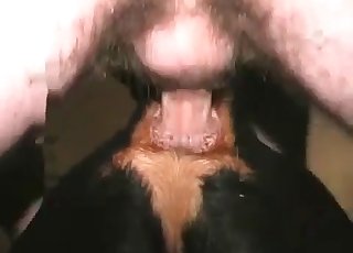 स्वीट ज़ूफाइल स्लट एक बड़े जानवर के लिंग को लेती है