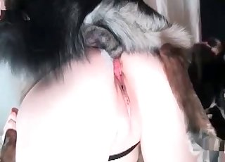 Trained doggy and a hot girl enjoy bestiality sex