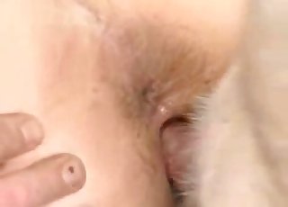 Brutal bestiality orgy with an awesome doggy