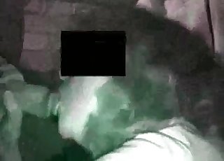 Giant stallion dick shown in the close-up