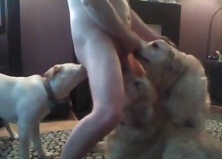 Amazing entertainment for a zoophile and a beast