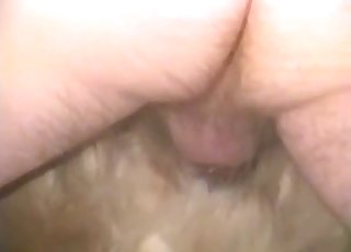 White doggie having some nasty action