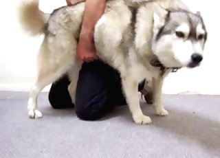 Nasty bestiality porn session with a hot chick