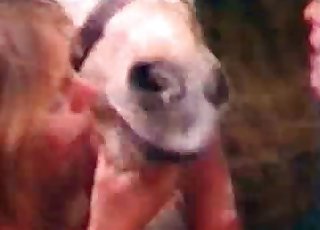 Insane dog sex action looks great