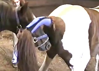 We are seeing a really good looking cow at this lovely farm