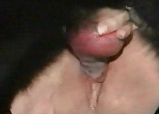 Large dick of a hound is banging a total whore