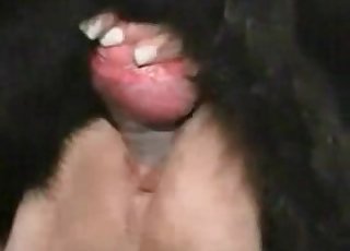 Large dick of a hound is banging a total whore