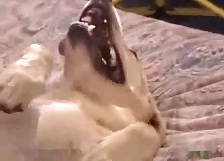 This cute dog wants to have all sorts of kinky pleasures