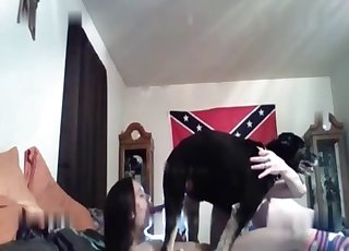 Southern slut sucking off the lovely cock of her doggy