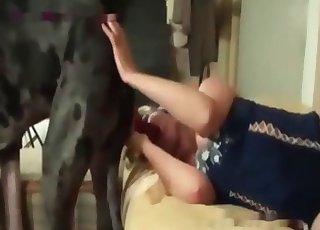 Sweet and awesome amateur bestiality in HD quality