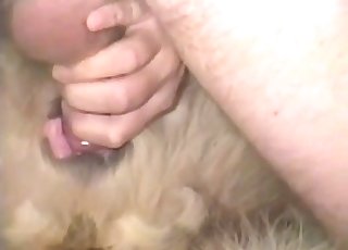 Horny fellow is not afraid to fuck this hot animal