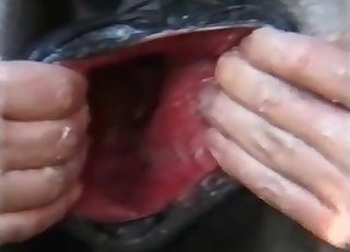 Zdecydowanie musisz obejrzeć to bestialstwo XXX