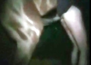 Late night fuck session for a horny dude and a horse
