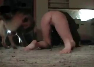 Close up video where a filthy dog gets banged