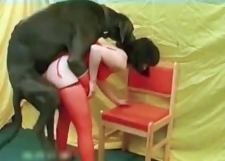 Asian ladies like this are enjoying bestial