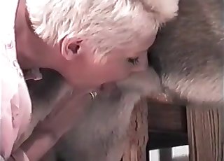 Wet pussy impaled by a doggy