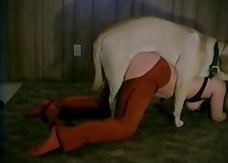 Ultra-kinky eläinten seksilelu navetassa