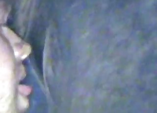 Horse is getting her ass licked by a male