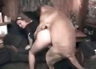 Làm hài lòng chú chó này thật dễ thương