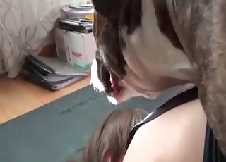 Burada aşırı sıcak hayvanat bahçesi sikişi var