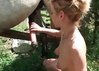 Lustful female is trying to wank a pony cock